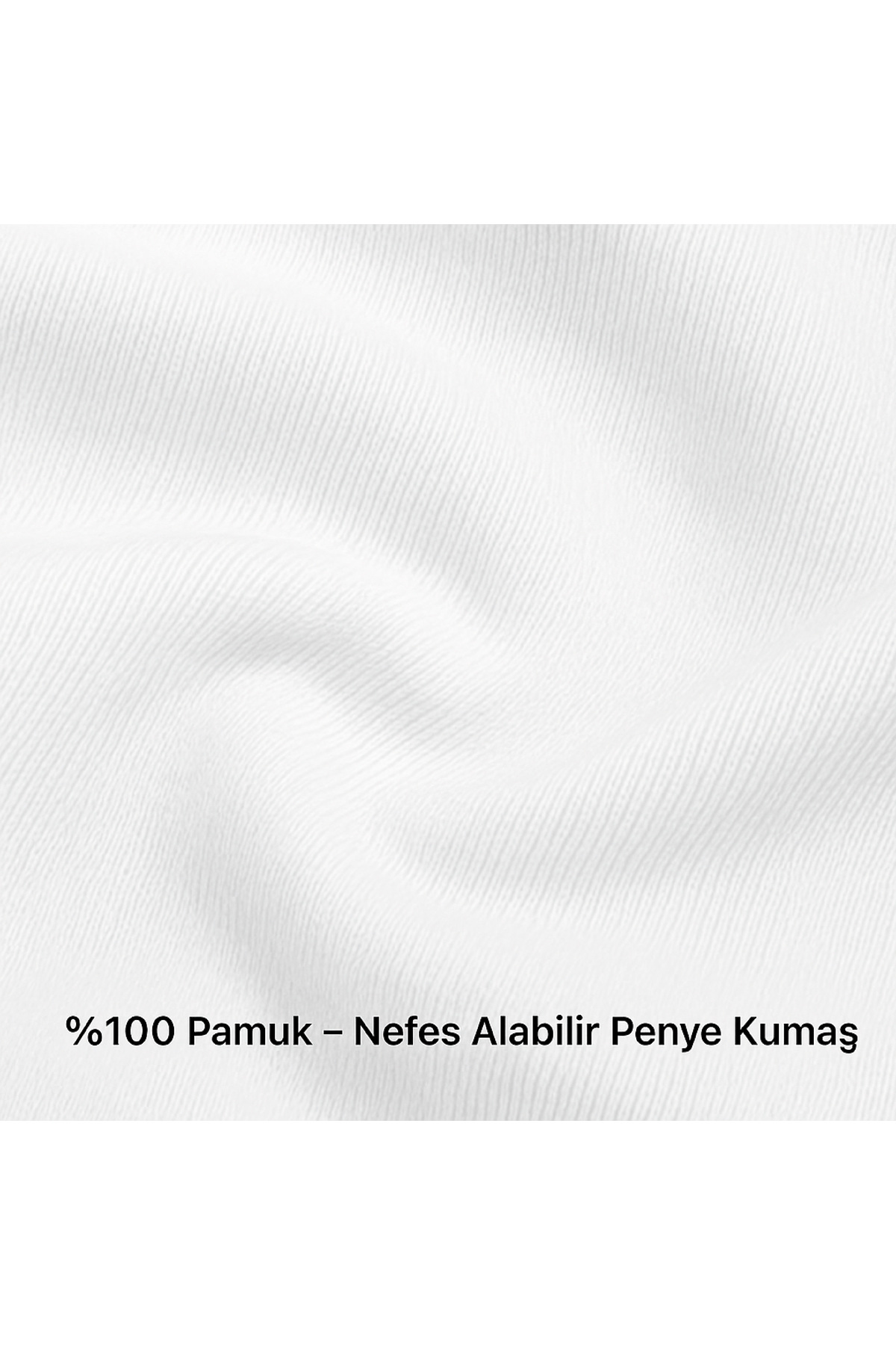 ERKEK BASKILI TİŞÖRT – RENKLİ KUŞ TÜYÜ DENİZ FENERİ DESENLİ | RELAXED FIT | HUBERY